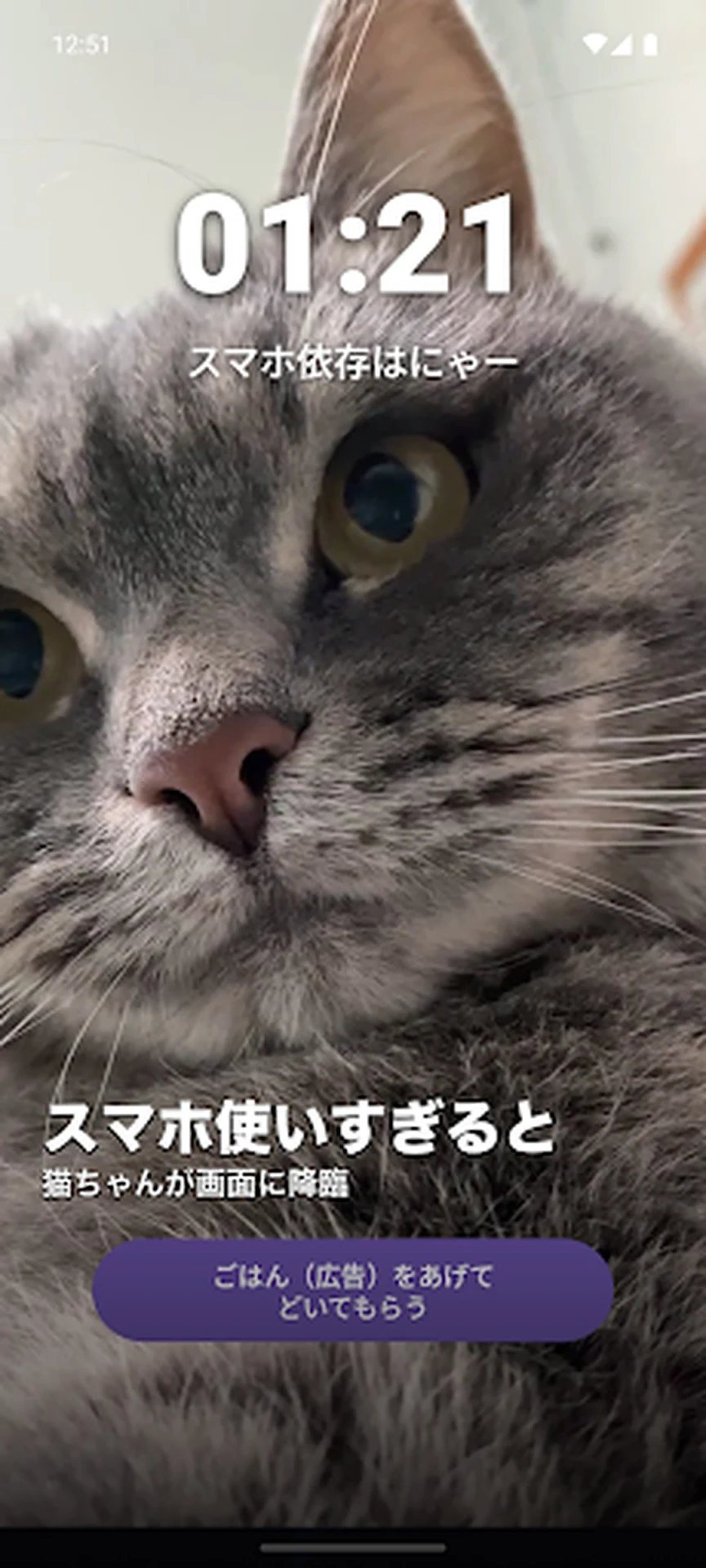 猫ちゃん休憩ガーディアン screenshot 1