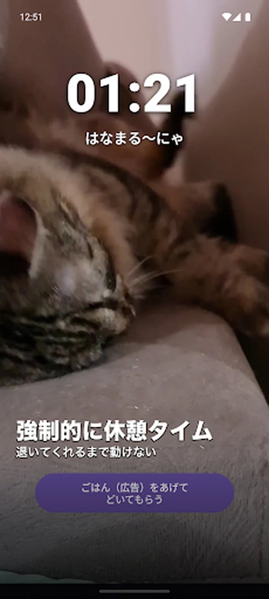 猫ちゃん休憩ガーディアン screenshot 3