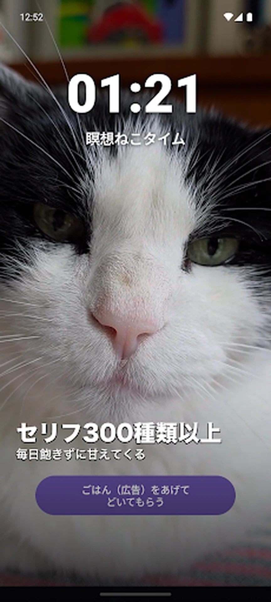 猫ちゃん休憩ガーディアン screenshot 4