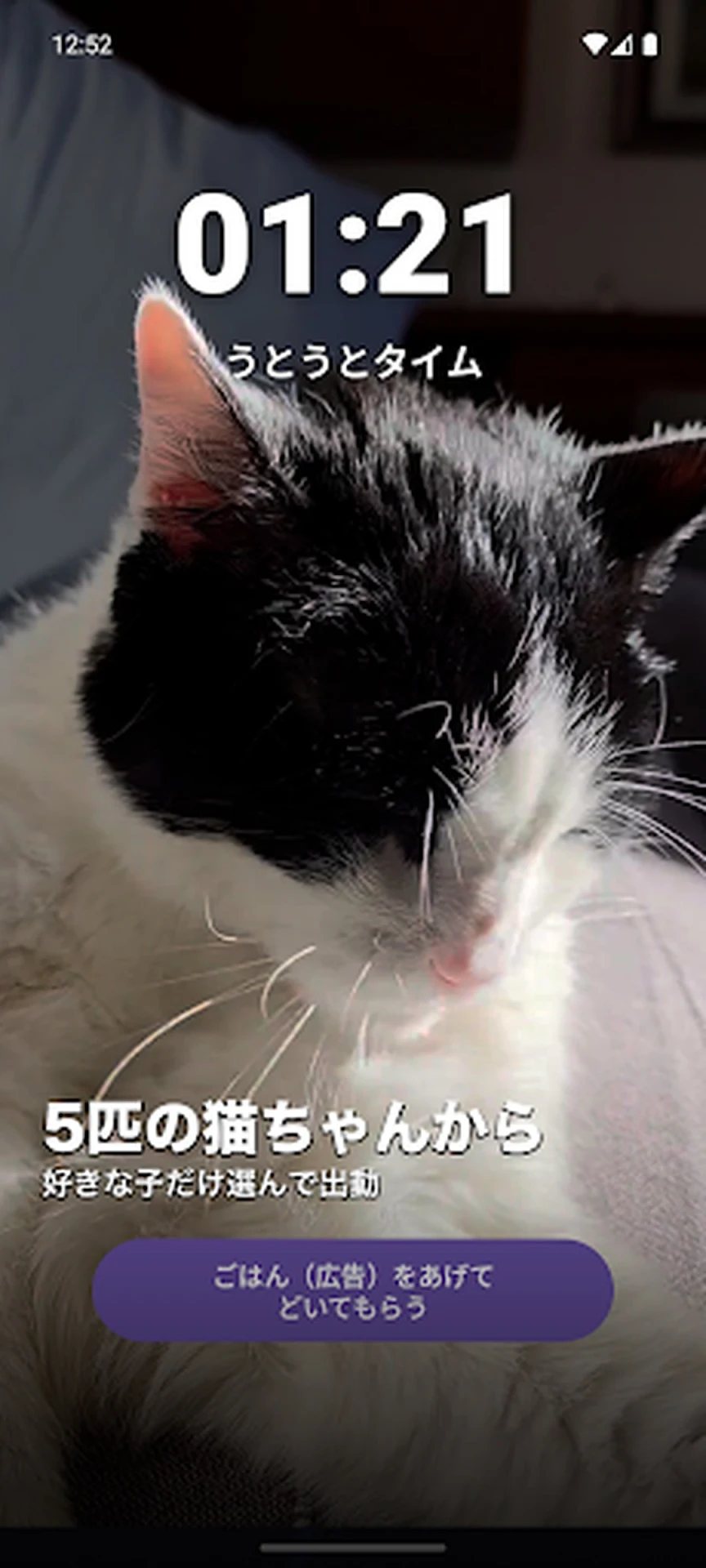 猫ちゃん休憩ガーディアン screenshot 5